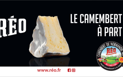 Le partenaire de la semaine